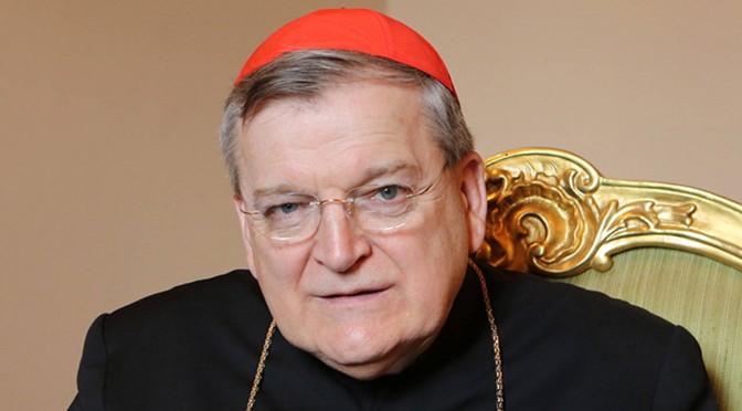 Raymond Burke, un cardinal de plus en plus radical